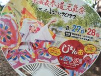 原宿表参道元気祭スーパーよさこい2022うちわ